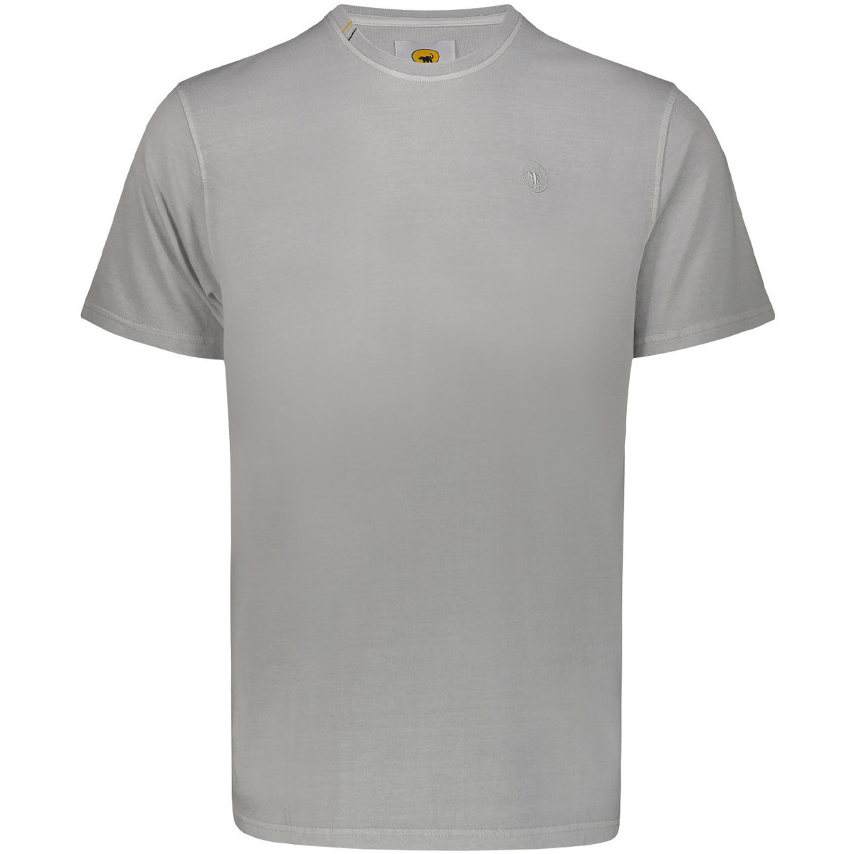 Abbigliamento Uomo T-shirt & Polo Ciesse Piumini 215CPMT01455 C2410X Grigio