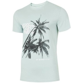 Abbigliamento Uomo T-shirt maniche corte 4F TSM039 Bianco