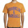 Abbigliamento Uomo T-shirt maniche corte Franklin & Marshall T-shirt à manches courtes Arancio