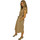 Abbigliamento Donna Vestiti Peserico Abito cotone sabbia Beige