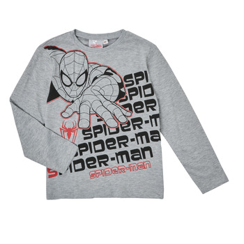 Abbigliamento Bambino T-shirts a maniche lunghe TEAM HEROES  T-SHIRT SPIDER-MAN Grigio
