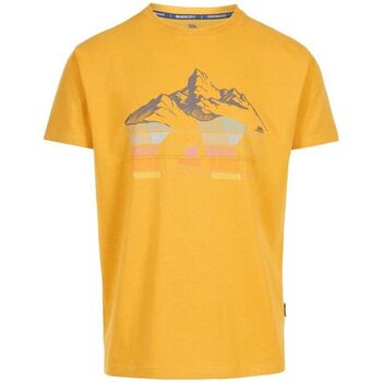 Abbigliamento Uomo T-shirts a maniche lunghe Trespass TP5472 Multicolore