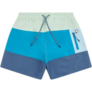 Abbigliamento Uomo Shorts / Bermuda Penfield Short de bain  The Mattawa Blu