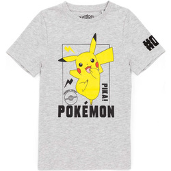 Abbigliamento Unisex bambino T-shirt maniche corte Pokemon NS6661 Grigio