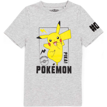 Abbigliamento Unisex bambino T-shirt maniche corte Pokemon  Grigio