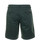 Abbigliamento Uomo Shorts / Bermuda Colmar Pantalone in cotone Verde