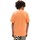 Abbigliamento Unisex bambino T-shirt & Polo Vans VN000IVFYST1  CLASSICS-MELON Arancio