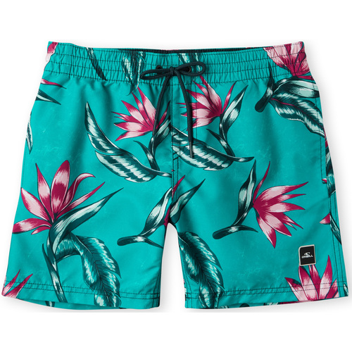 Abbigliamento Bambino Shorts / Bermuda O'neill Short enfant  Print Blu
