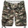 Abbigliamento Uomo Shorts / Bermuda Surplus Pantaloni militari corti Division Multicolore