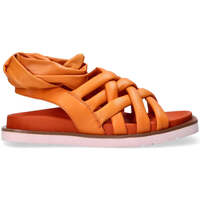 Scarpe Donna Sandali Elvio Zanon sandali in pelle arancione ARANCIO