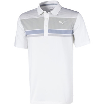 Abbigliamento Uomo T-shirt & Polo Puma 595788-03 Bianco