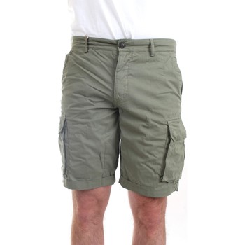 Abbigliamento Uomo Shorts / Bermuda 40weft NICK 6874 Bermuda Uomo salvia salvia