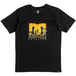 Abbigliamento Unisex bambino T-shirt maniche corte DC Shoes T-Shirt Big City Jr Nero