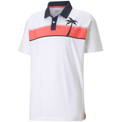 Abbigliamento Uomo T-shirt & Polo Puma 599546-01 Bianco