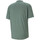 Abbigliamento Uomo T-shirt & Polo Puma 599917-02 Verde