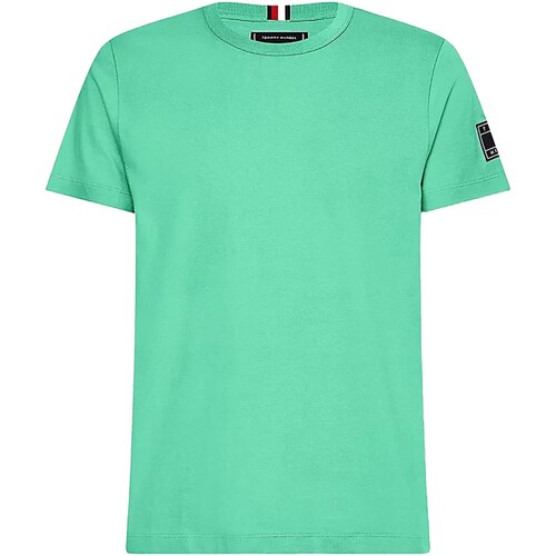 Abbigliamento Uomo T-shirt maniche corte Tommy Hilfiger MW0MW22125 Verde