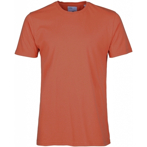 Abbigliamento T-shirt maniche corte Colorful Standard T-shirt  Classic Organic dark amber Rosso