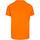 Abbigliamento Uomo T-shirts a maniche lunghe Trespass Westover Arancio