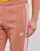 Abbigliamento Pantaloni da tuta adidas Originals 3-STRIPES PANT Terra / Magique