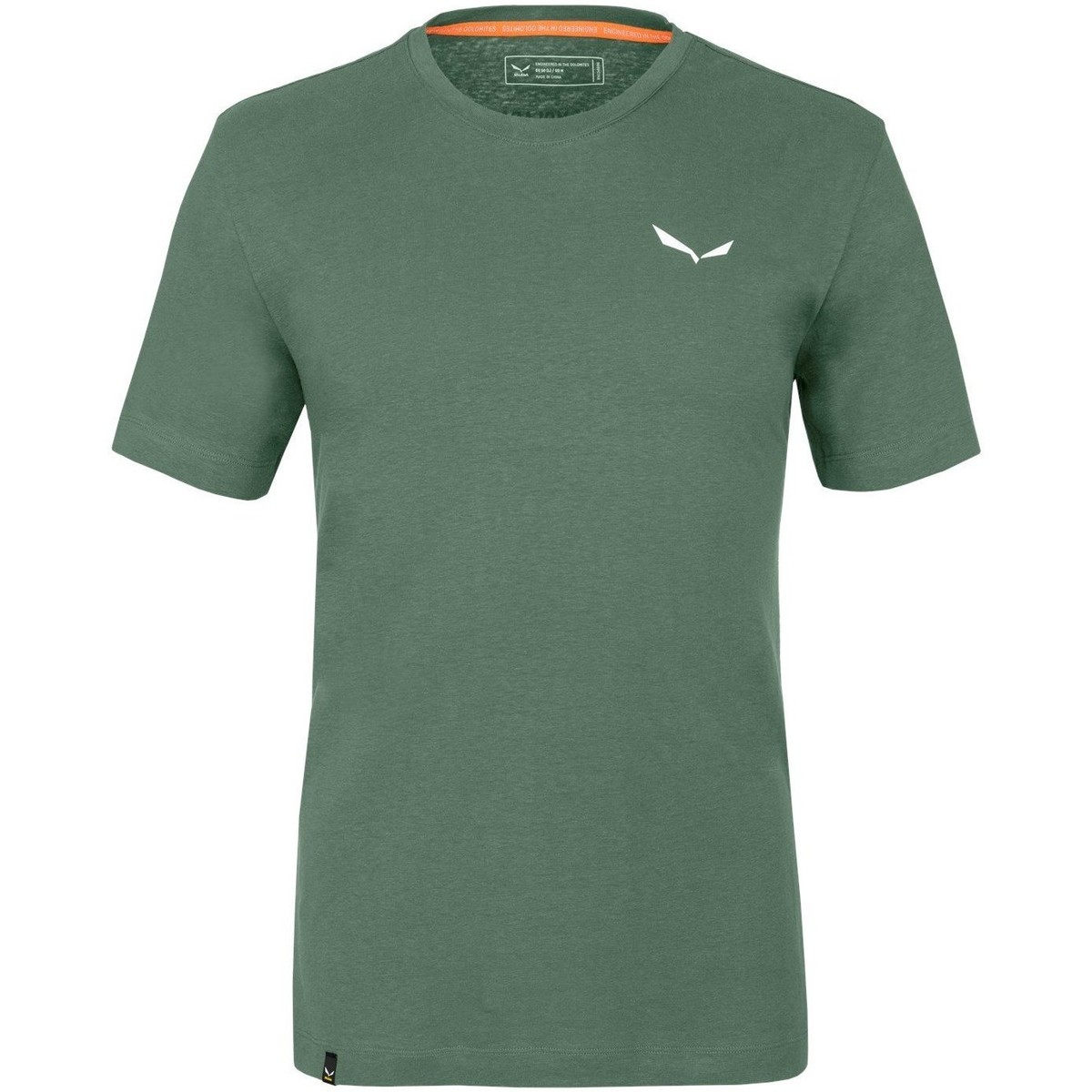 Abbigliamento Uomo T-shirt & Polo Salewa Pure Dolomites Hemp Men's T-Shirt 28329-5320 Verde