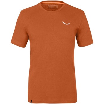 Abbigliamento Uomo T-shirt & Polo Salewa Pure Dolomites Hemp Men's T-Shirt 28329-4170 Arancio