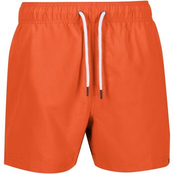 Abbigliamento Uomo Shorts / Bermuda Regatta Mawson II Arancio