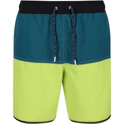 Abbigliamento Uomo Shorts / Bermuda Regatta Benicio Multicolore