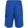 Abbigliamento Uomo Shorts / Bermuda Regatta Hotham IV Multicolore