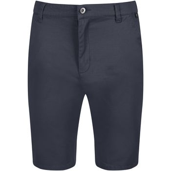 Abbigliamento Uomo Shorts / Bermuda Regatta Sandros Grigio