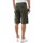 Abbigliamento Uomo Shorts / Bermuda Bomboogie BMFATH T GBT-34 OLIVE GREEN Verde