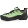Scarpe Uomo Trekking Salewa Alp Trainer 2 Gore-Tex® Men's Shoe 61400-5660 Verde