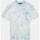 Abbigliamento Uomo T-shirt & Polo Dickies Seatac tee ss Verde