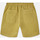 Abbigliamento Uomo Shorts / Bermuda Dickies Pelican rapids Verde