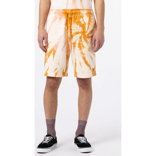 Abbigliamento Uomo Shorts / Bermuda Dickies Seatac short Giallo