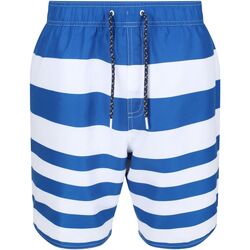 Abbigliamento Uomo Shorts / Bermuda Regatta Hamza Multicolore