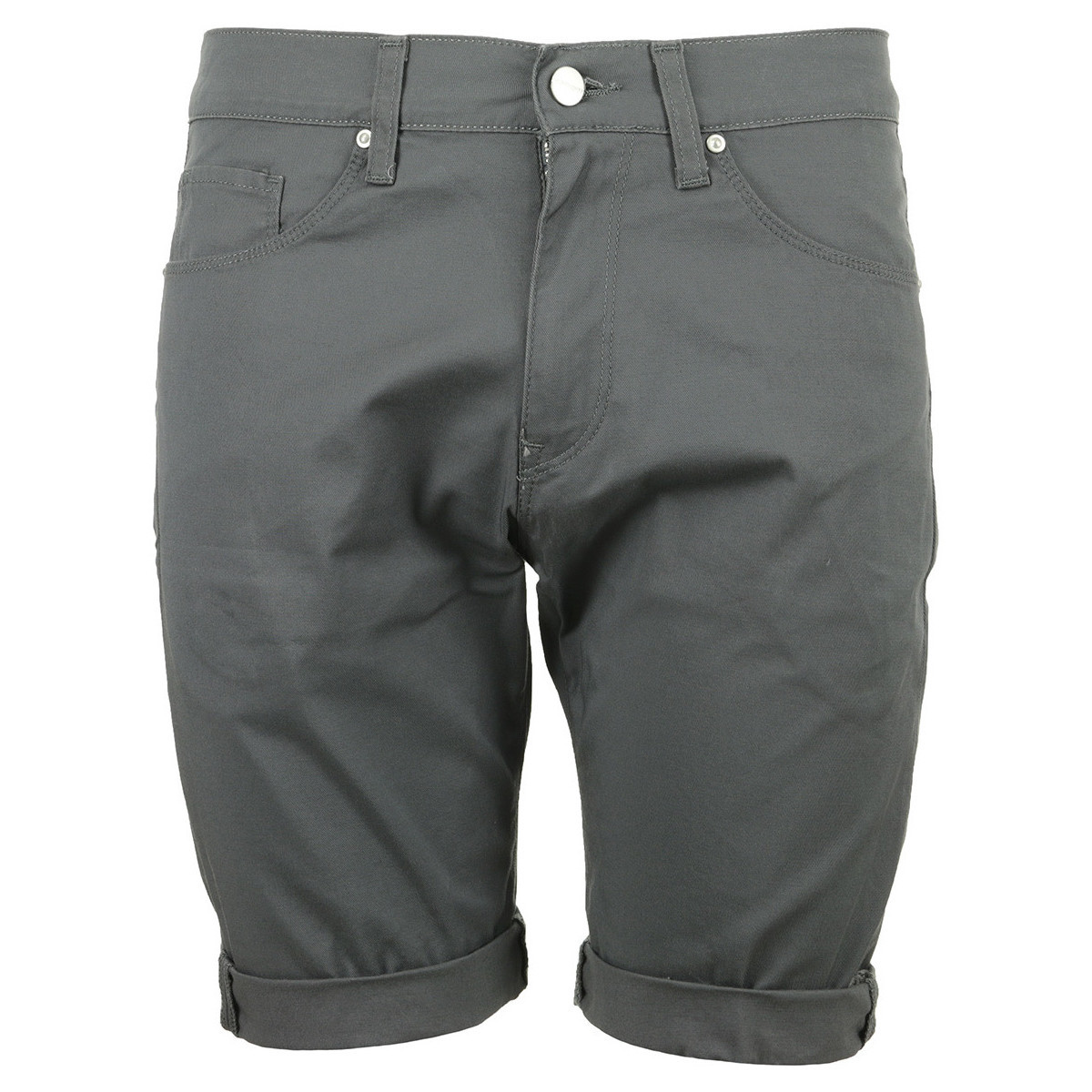 Abbigliamento Uomo Shorts / Bermuda Carhartt Swell Short Grigio
