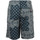 Abbigliamento Uomo Shorts / Bermuda Tommy Hilfiger Bandana Print Short Blu