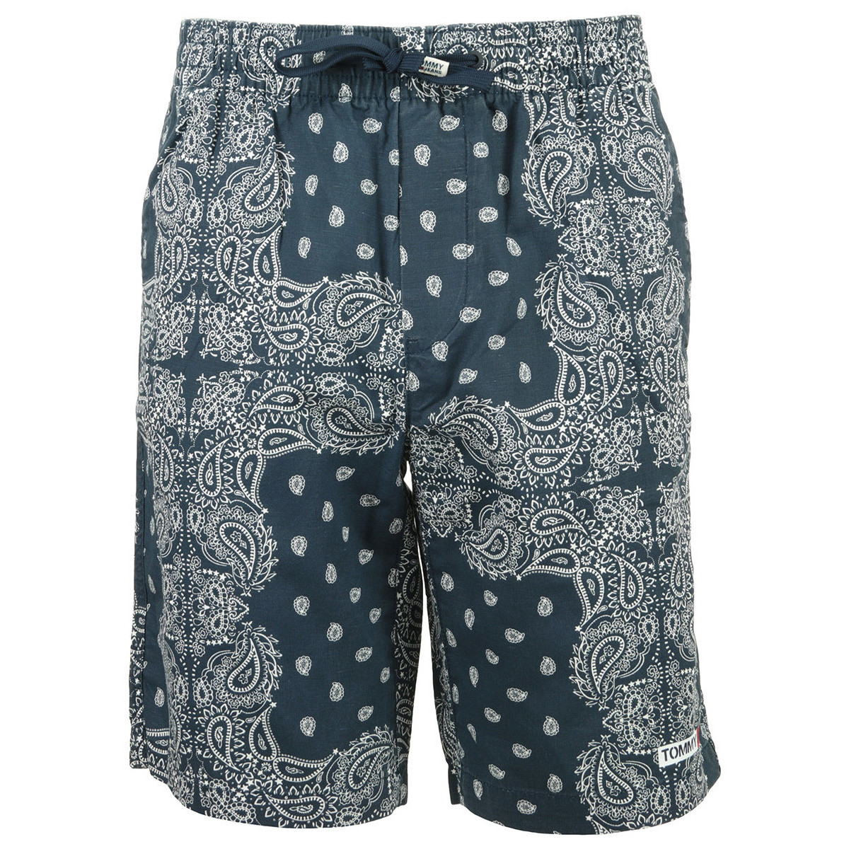 Abbigliamento Uomo Shorts / Bermuda Tommy Hilfiger Bandana Print Short Blu