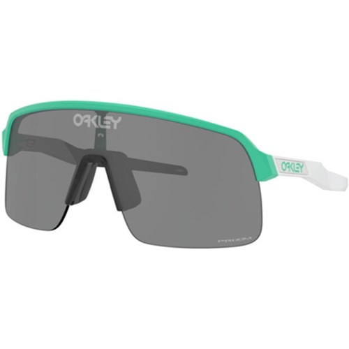 Orologi & Gioielli Occhiali da sole Oakley 946307 Blu