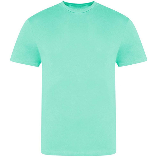Abbigliamento Uomo T-shirts a maniche lunghe Awdis The 100 Verde