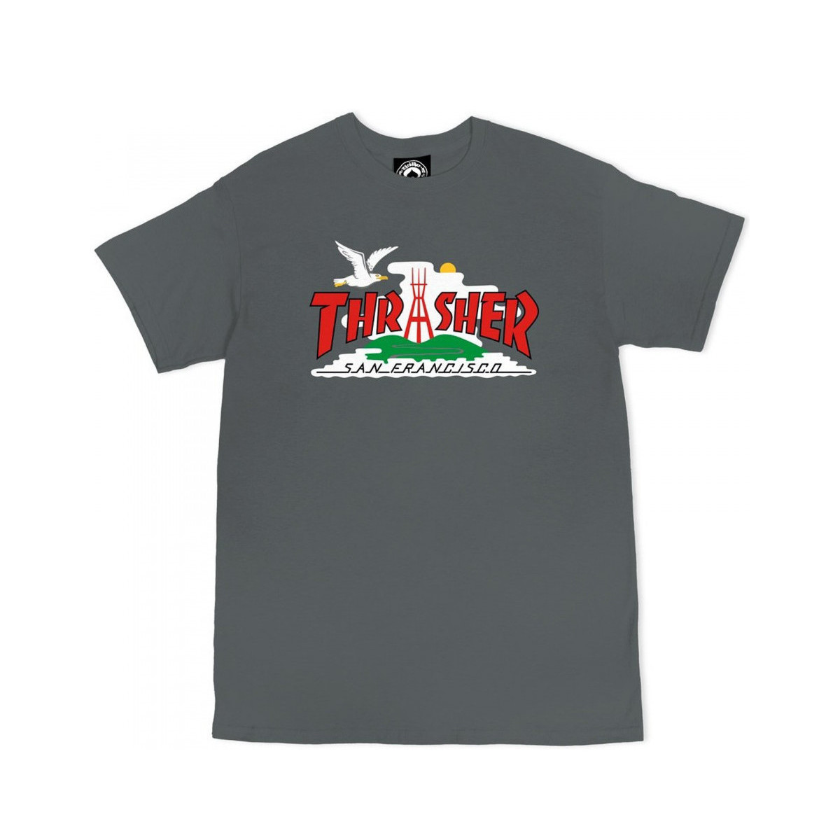 Abbigliamento Uomo T-shirt & Polo Thrasher T-shirt the city Grigio