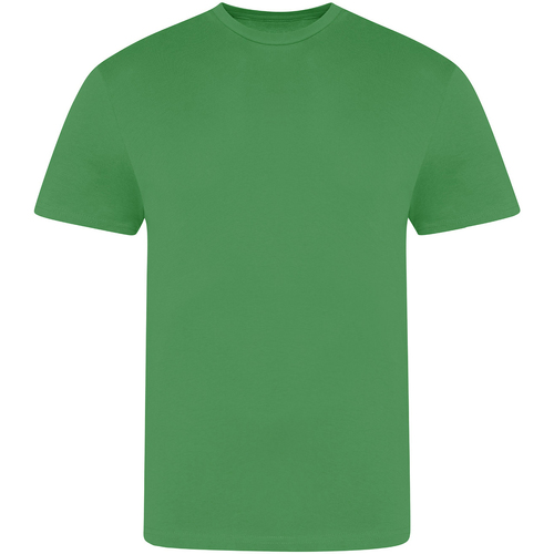 Abbigliamento T-shirts a maniche lunghe Awdis The 100 Verde