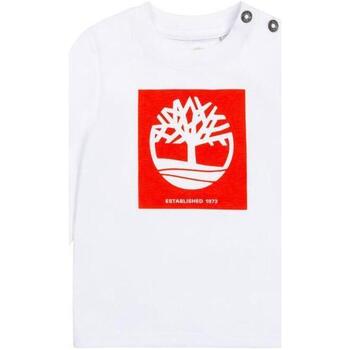 Abbigliamento Bambina T-shirt & Polo Timberland ./ROSSO Bianco