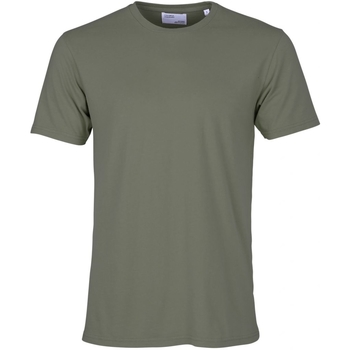 Abbigliamento T-shirt maniche corte Colorful Standard T-shirt  Classic Organic dusty olive Verde