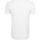 Abbigliamento Uomo T-shirt maniche corte Ballin Est. 2013 Bear Tracksuit Tee Bianco