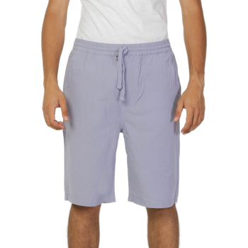 Abbigliamento Uomo Shorts / Bermuda Lee L70KSAUU Viola