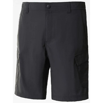 Abbigliamento Uomo Shorts / Bermuda The North Face Horizon Short Altri
