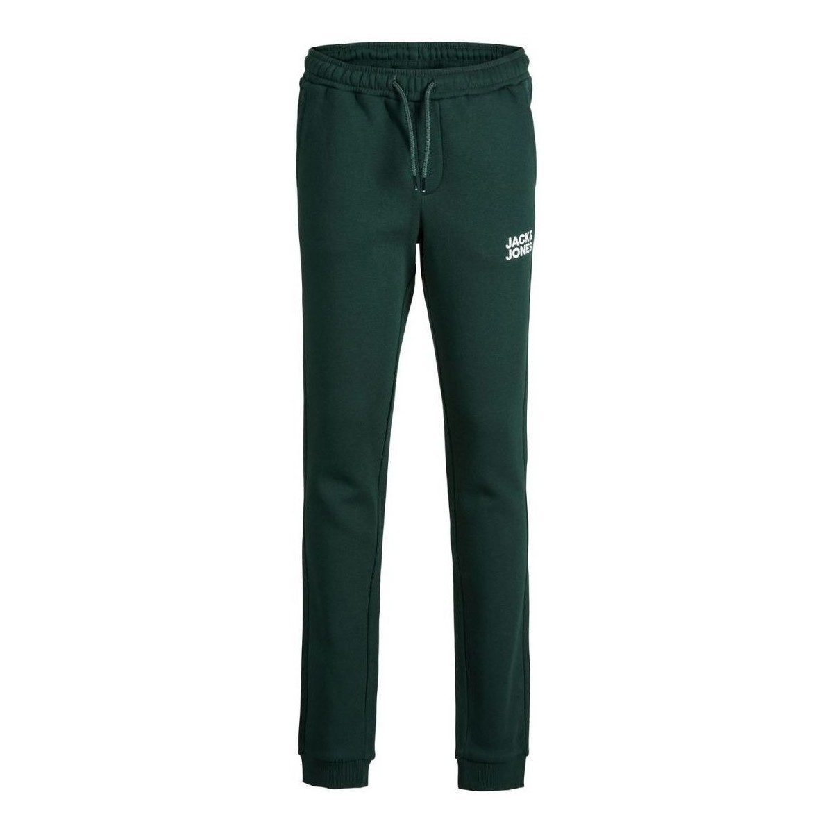 Abbigliamento Bambino Pantaloni Jack & Jones 12179798 GORDON-PINE GROVE Verde
