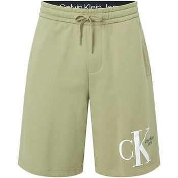 Abbigliamento Uomo Shorts / Bermuda Calvin Klein Jeans J30J320067 Verde