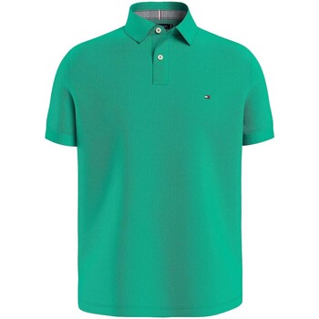 Abbigliamento Uomo T-shirt & Polo Tommy Hilfiger MW0MW17770 Verde